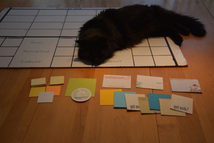 cat