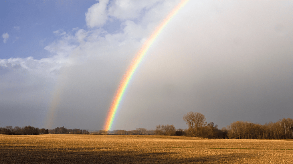 5 clés pour écrire un roman feel-good et délivrer un message positif et inspirant.